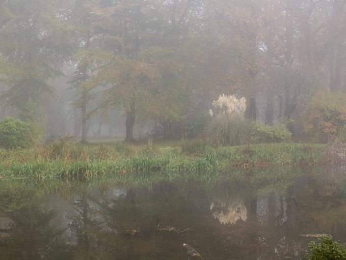 Autumn Mill Pond