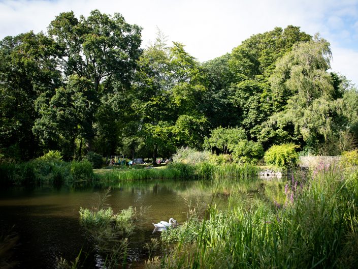 Mill Pond Summer