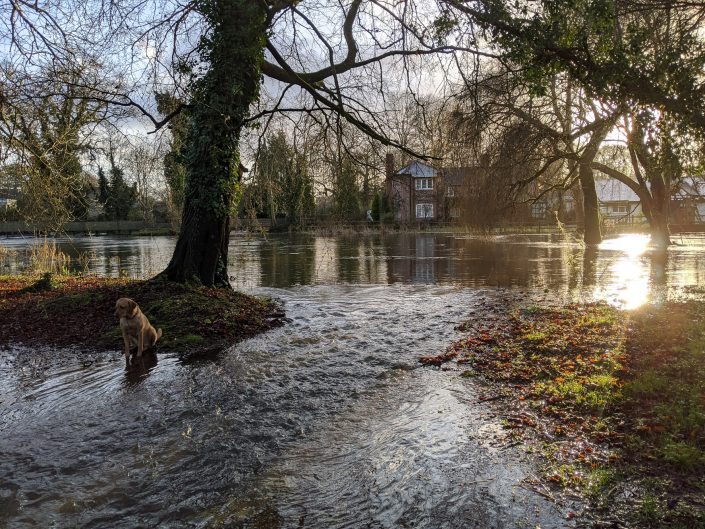 Flooded Mill Pond