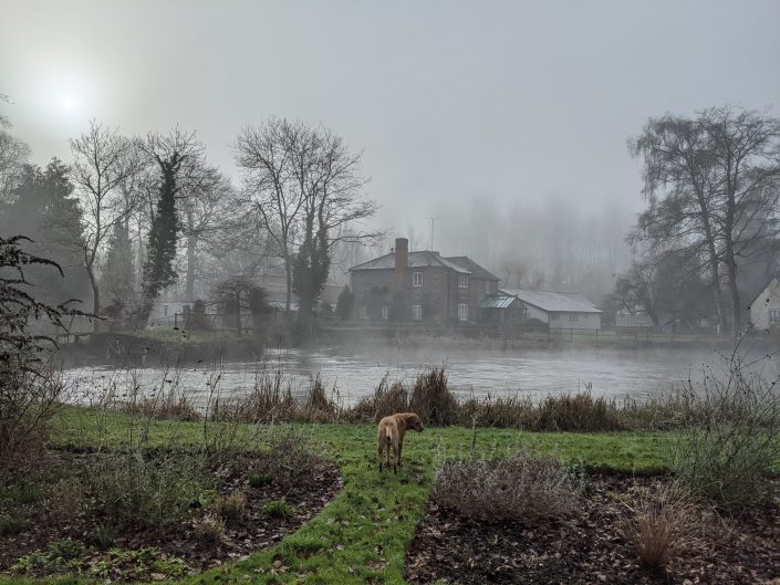 House and Pond in Winter